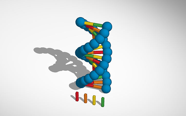 3D design DNA (With notes) - Tinkercad