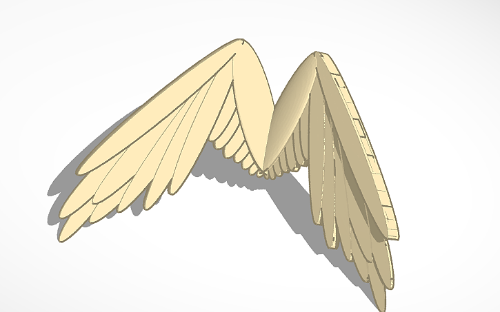 Wings