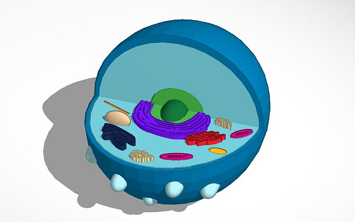 Test Cell Tinker 3D design CELL - Tinkercad