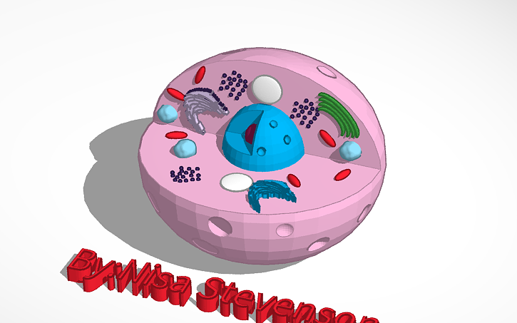 3D animal cell | Tinkercad