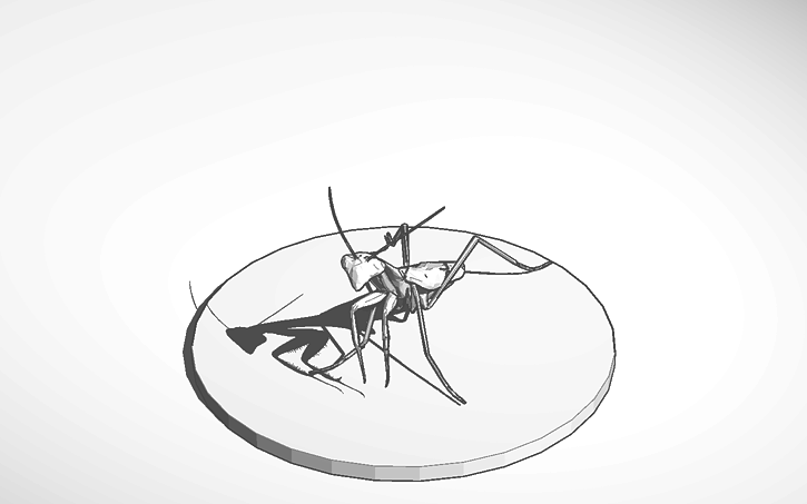 3d Design Mantis Tinkercad