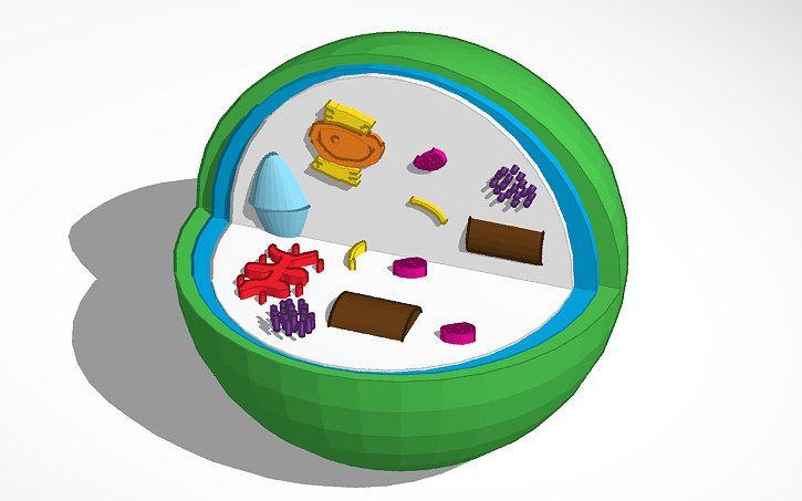 Test Cell Tinker 3D design Plant cell - Tinkercad