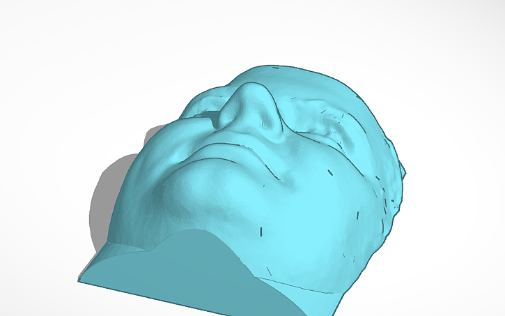 3D design Abby Actual Face | Tinkercad
