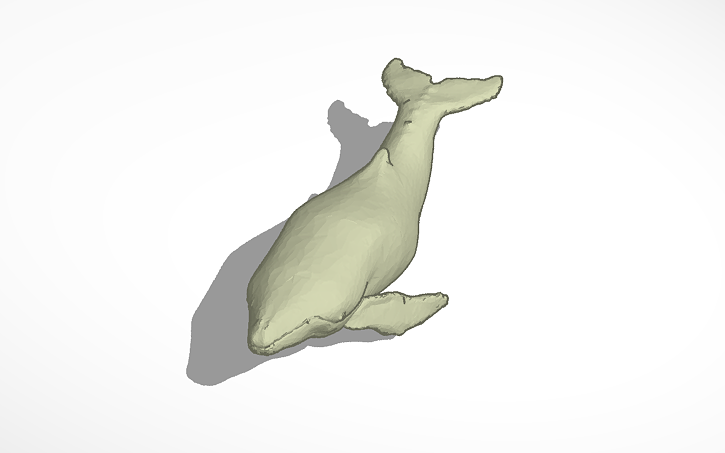 Whale Solidworks 3D design Whale - Tinkercad