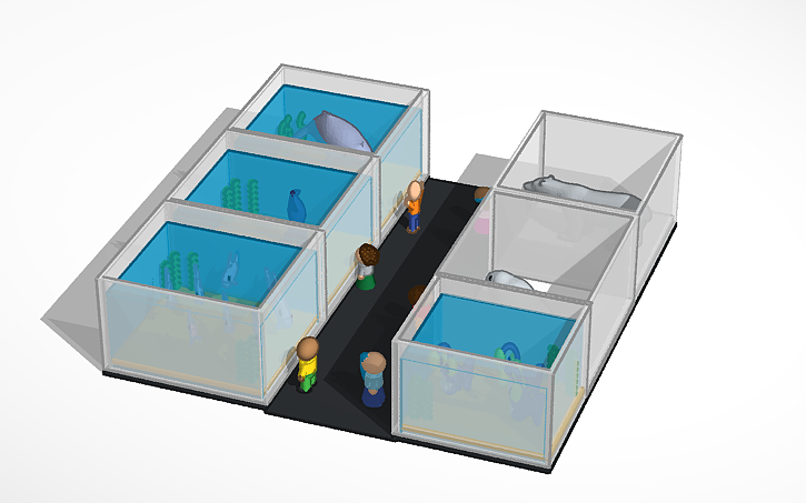 3d-design-aquarium-tinkercad