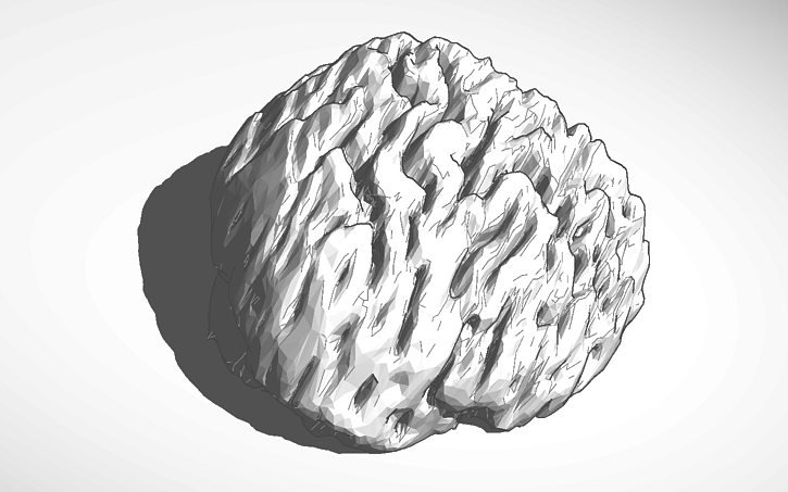 3D design Half of robot brain - Tinkercad