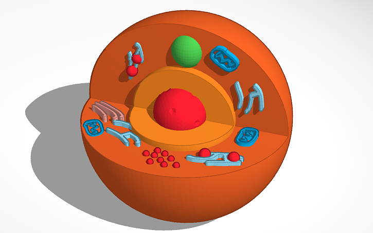 3D design The Animail Cell | Tinkercad