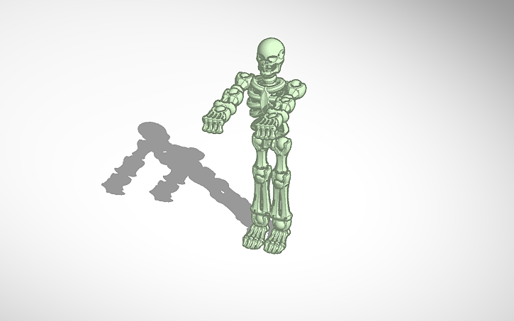 3D design Skeleton Build - Tinkercad