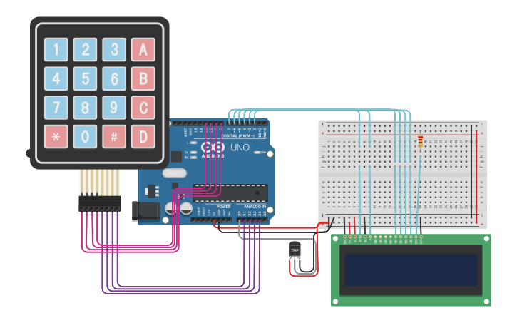 Circuit design TF_Int_Had_Sof_II | Tinkercad