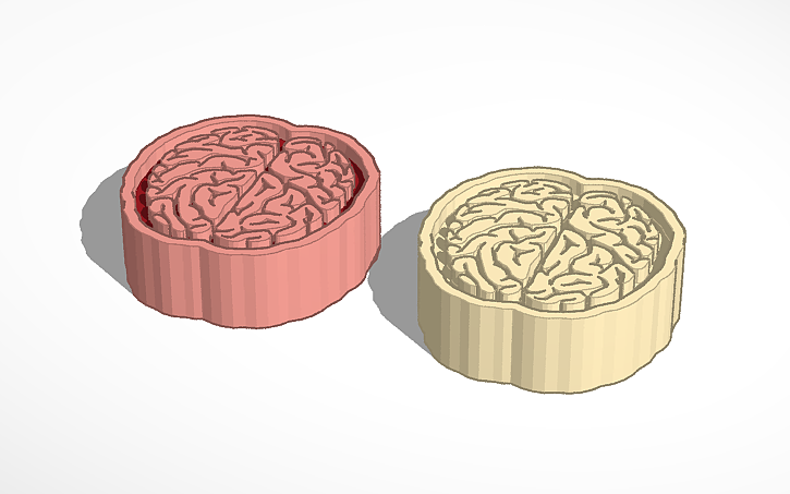 3D design Brain token - Tinkercad