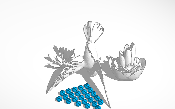 3D design Hummingbirds - Kolibris - Tinkercad