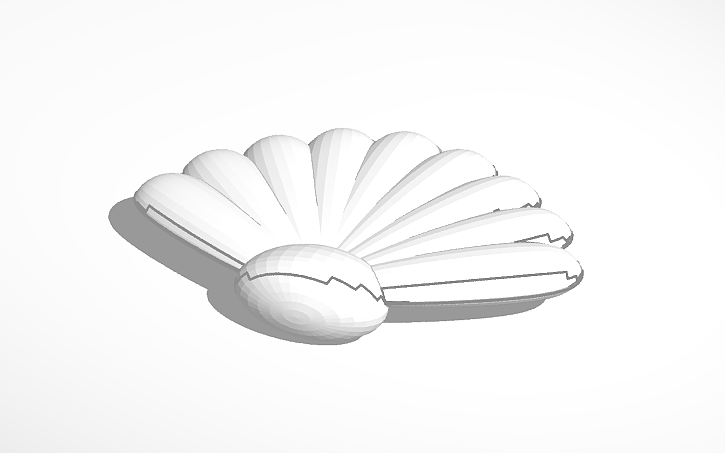 3D design Clam Shell - Tinkercad