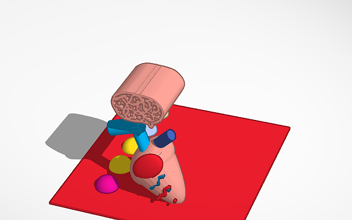 3D design human brain,human heart,human cells and blood - Tinkercad