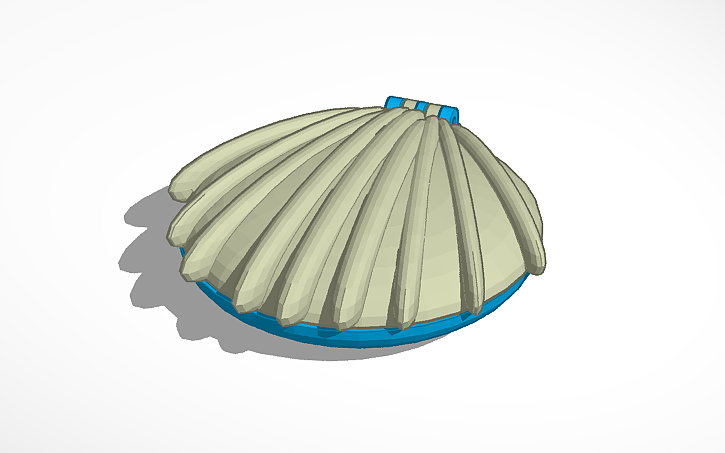 3D design shell - Tinkercad