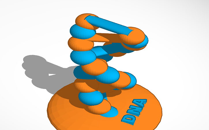 3D design Dna p - Tinkercad