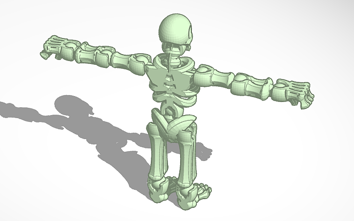 Build Script Squelette 3D design squelette | Tinkercad