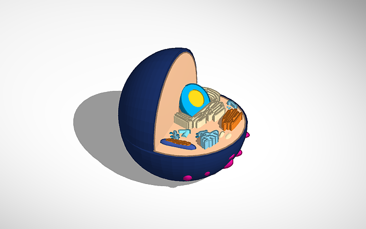 3D design cell - Tinkercad