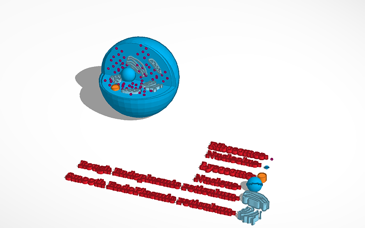 3D design Plant and Animal Cells - Tinkercad