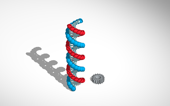 3D design супер мега экстра шестерёнка и ДНК | Tinkercad
