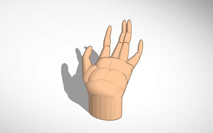 3D design hand | Tinkercad