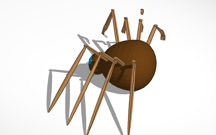 3d Design Spider 1 Tinkercad 