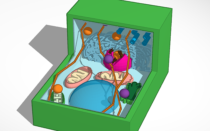3D design Plant Cell - Tinkercad