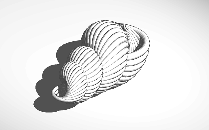 3D design Shell - Tinkercad