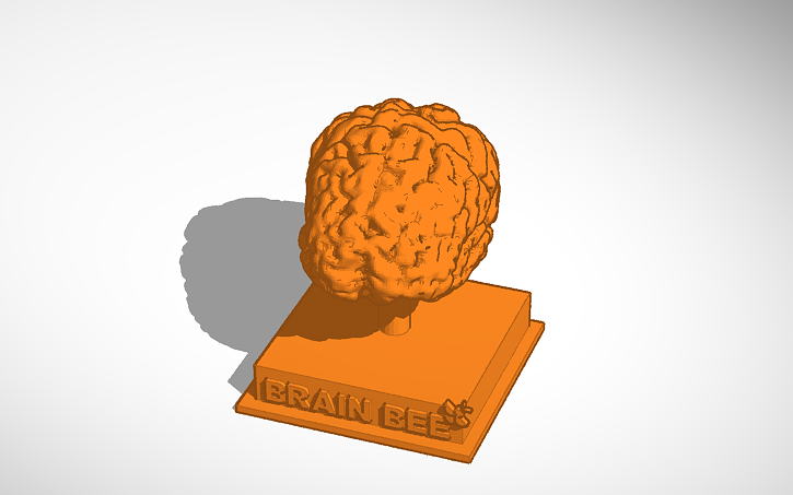 3D design Brain Bee V2 Bee | Tinkercad
