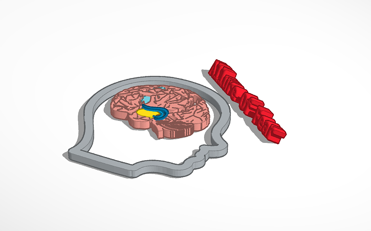 3D design English Project - Tinkercad