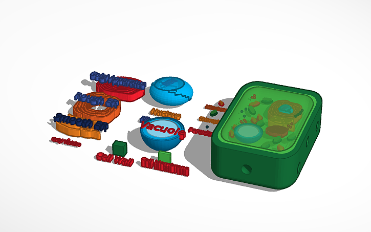 Test Cell Tinker 3D design Plant Cell - Tinkercad