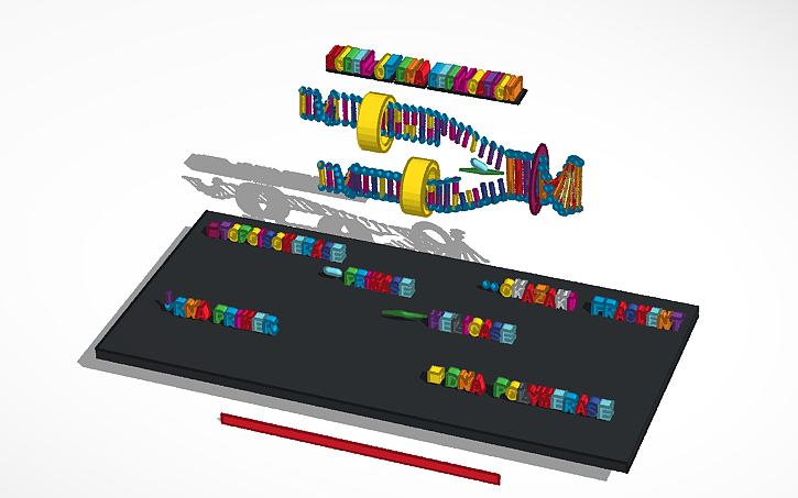 3D design DNA Replication 1036679, 1036333, 1037748, 1037233, 1037787 ...