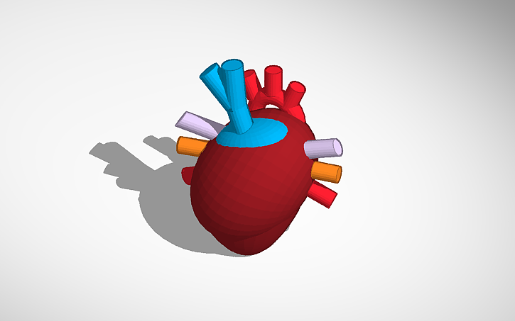 3D design heart - Tinkercad