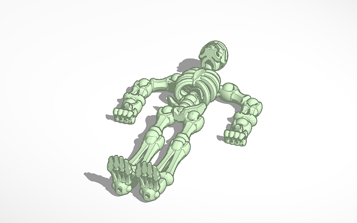 Build Script Squelette 3D design squelette - Tinkercad