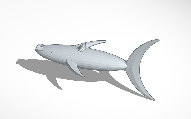 3d Design Tiburon - Tinkercad