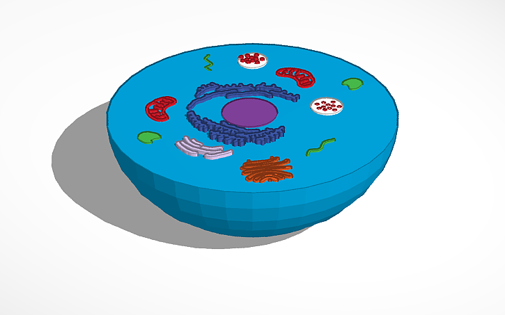 3D design Animal Cell | Tinkercad