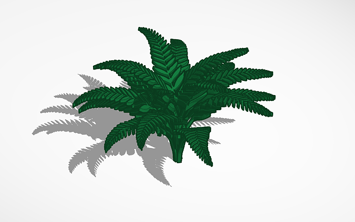 3D design Fern - Tinkercad