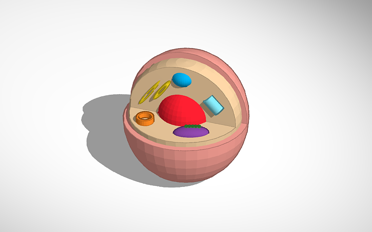 3D design Cell - Tinkercad