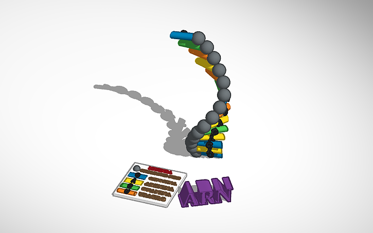 3D design ARN - Tinkercad