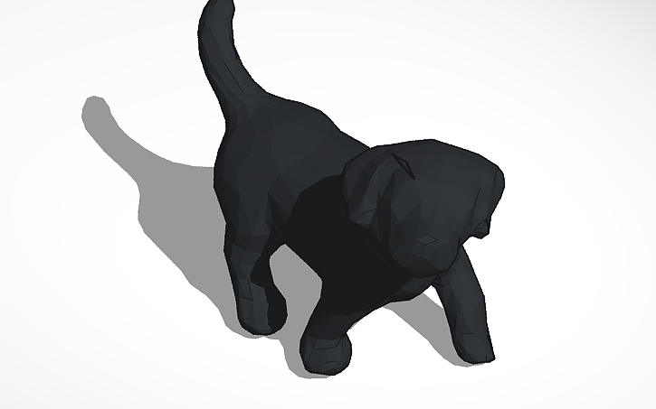 3D design mijn labrador zara - Tinkercad