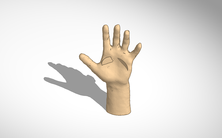 3D design Normal Hand - Tinkercad