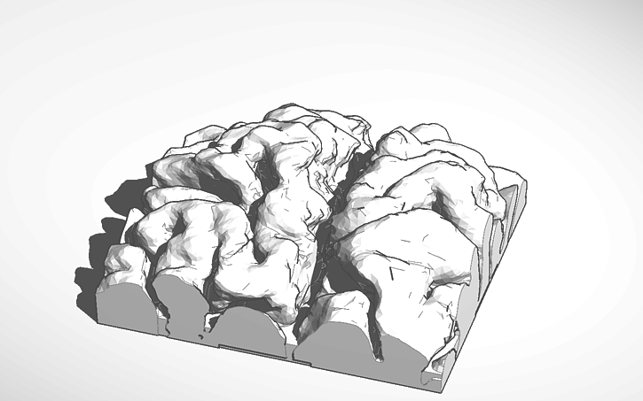 3D design Brain Top - Tinkercad