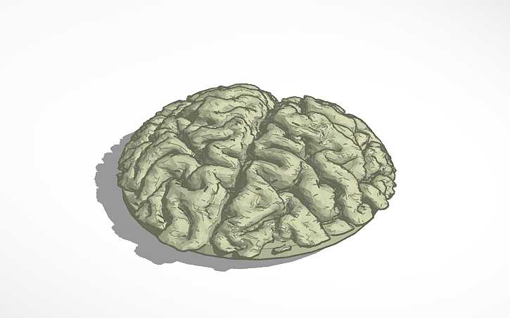 3D design Octopus_Brain_BusyLight | Tinkercad