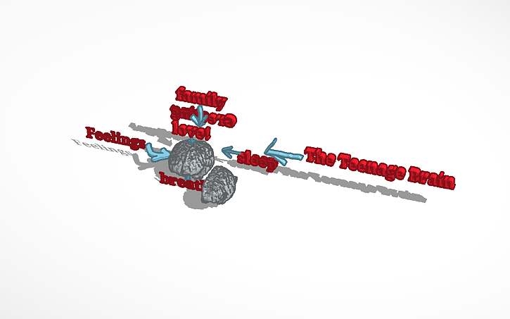 3D design brain project | Tinkercad