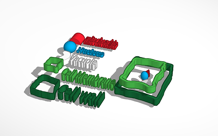 Thinkercad Science 3D design Science project | Tinkercad