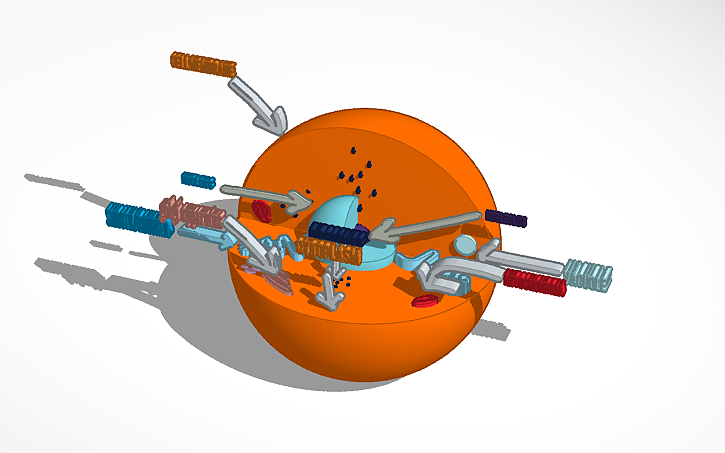 3D design animal cell - Tinkercad