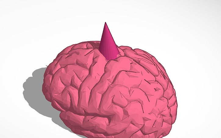 3D design pink brain - Tinkercad