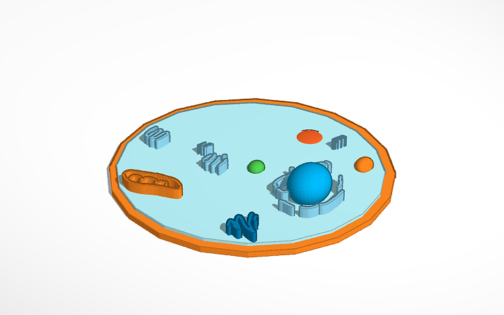 Test Cell Tinker 3D design animal cell | Tinkercad