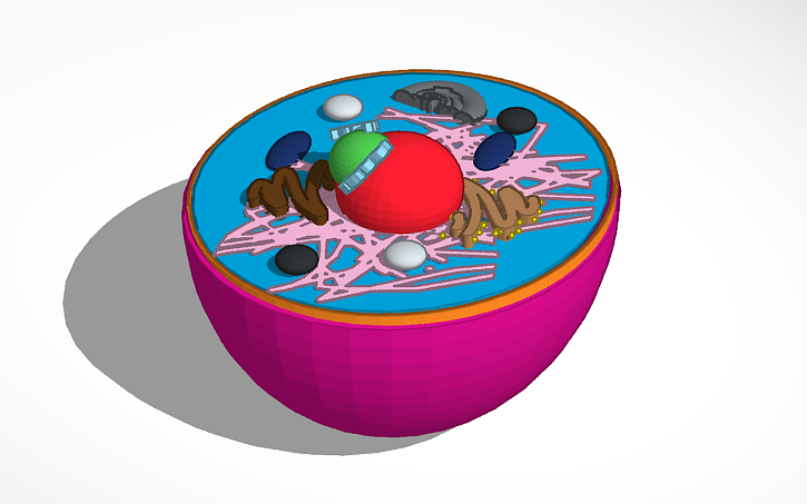 Test Cell Tinker 3D design Cell - Tinkercad