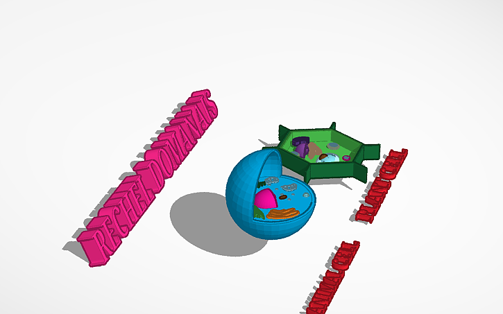 Test Cell Tinker 3D design cell model - Tinkercad