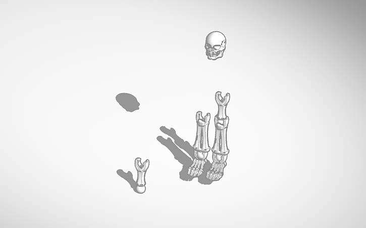 3D design Assembled Skeleton - Tinkercad